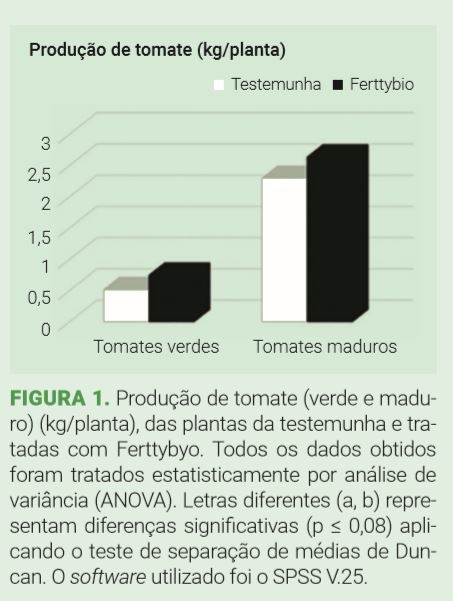 Figura 1